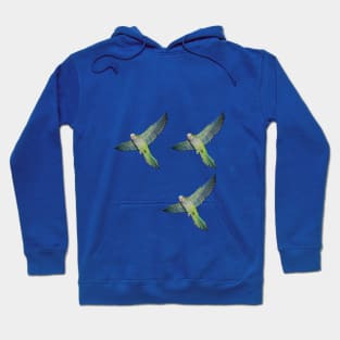 Flying parakeets Hoodie